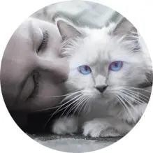 Close-up of a white cat with blue eyes next to a person's face, in circular crop.