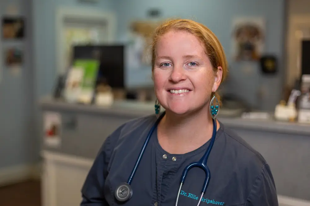 Dr. Ellie Gripshover, a veterinarian with red hair, wearing navy scrubs and a stethoscope, smiling in a clinic setting.