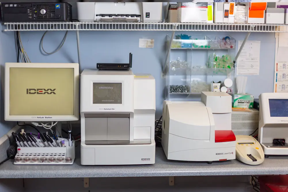 Veterinary laboratory equipment including IDEXX chemistry analyzer, monitor, and medical supplies on counter with shelving a…